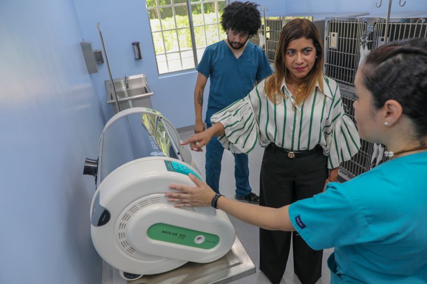 Una clínica veterinaria para la atención de especies silvestres fue inaugurada por el Ministerio de Ambiente (MiAMBIENTE) este miércoles 26 de junio con la finalidad de atender a animales que sean rescatados y requieran ser tratados para recuperar la salud. Una clínica veterinaria para la atención de especies silvestres fue inaugurada por el Ministerio de Ambiente (MiAMBIENTE) este miércoles 26 de junio con la finalidad de atender a animales que sean rescatados y requieran ser tratados para recuperar la salud.