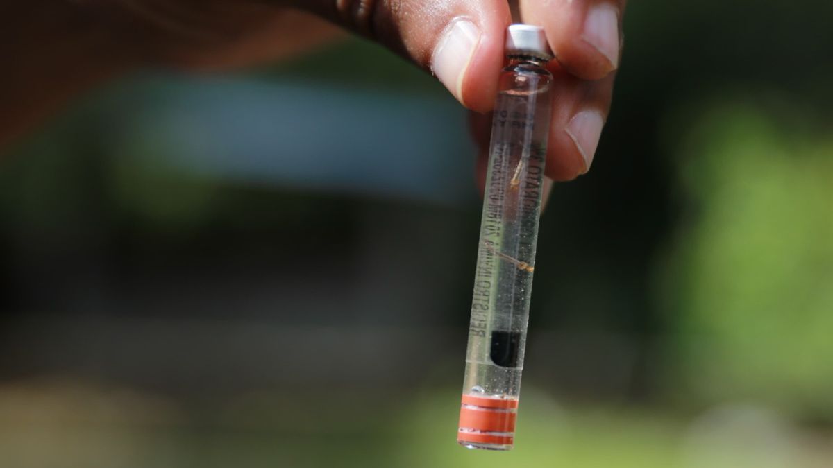 Hasta en un 50 % se redujeron los casos y defunciones por dengue durante el año 2025 en Panamá, en comparación con 2024, informó el Departamento de Epidemiología del Ministerio de Salud (Minsa), como resultado de la ejecución de estrategias integrales de prevención, control vectorial y participación comunitaria. Hasta en un 50 % se redujeron los casos y defunciones por dengue durante el año 2025 en Panamá, en comparación con 2024, informó el Departamento de Epidemiología del Ministerio de Salud (Minsa), como resultado de la ejecución de estrategias integrales de prevención, control vectorial y participación comunitaria.