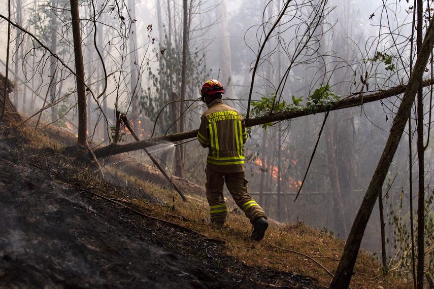 Incendios forestales en Colombia. AFP