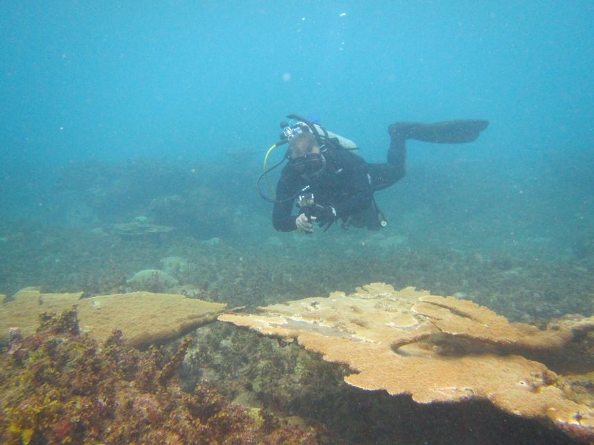 Funcionarios de la Autoridad de Recursos Acu&aacute;ticos (ARAP) y del Ministerio de Ambiente (MiAmbiente) retiraron una red fantasma en el Golfo de Chiriqu&iacute;