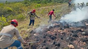 Autoridades extinguen incendio en Cerro Guacamaya en Penonomé