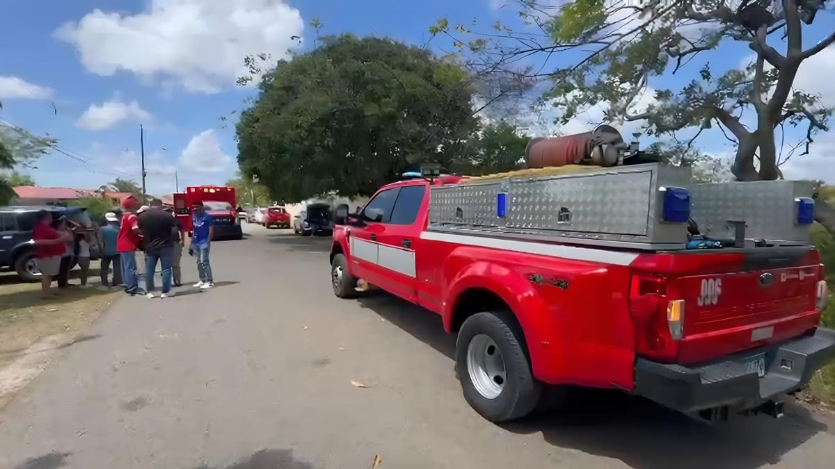 Tras el ataque de abejas, bomberos acudieron al lugar. Tras el ataque de abejas, bomberos acudieron al lugar.