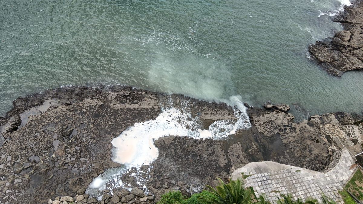 Técnicos del Equipo SWAT de Verificación Ambiental del Ministerio de Ambiente (MiAMBIENTE) realizaron una inspección en un PH, ubicado en Punta Paitilla, corregimiento de San Francisco, ciudad de Panamá, tras recibir información relacionada con posibles irregularidades ambientales vinculadas al manejo de residuos líquidos y materiales de pintura. Técnicos del Equipo SWAT de Verificación Ambiental del Ministerio de Ambiente (MiAMBIENTE) realizaron una inspección en un PH, ubicado en Punta Paitilla, corregimiento de San Francisco, ciudad de Panamá, tras recibir información relacionada con posibles irregularidades ambientales vinculadas al manejo de residuos líquidos y materiales de pintura.