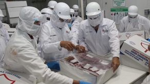 China habilita plantas procesadoras panameñas para exportar carne y pollo