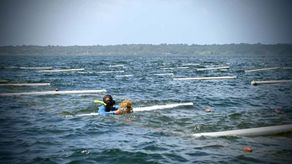 Algas Panameñas impulsa desarrollo en Bocas del Toro y Ngäbe Buglé con inversión de $33 millones