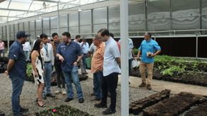 Mida: Plan Café Robusta.