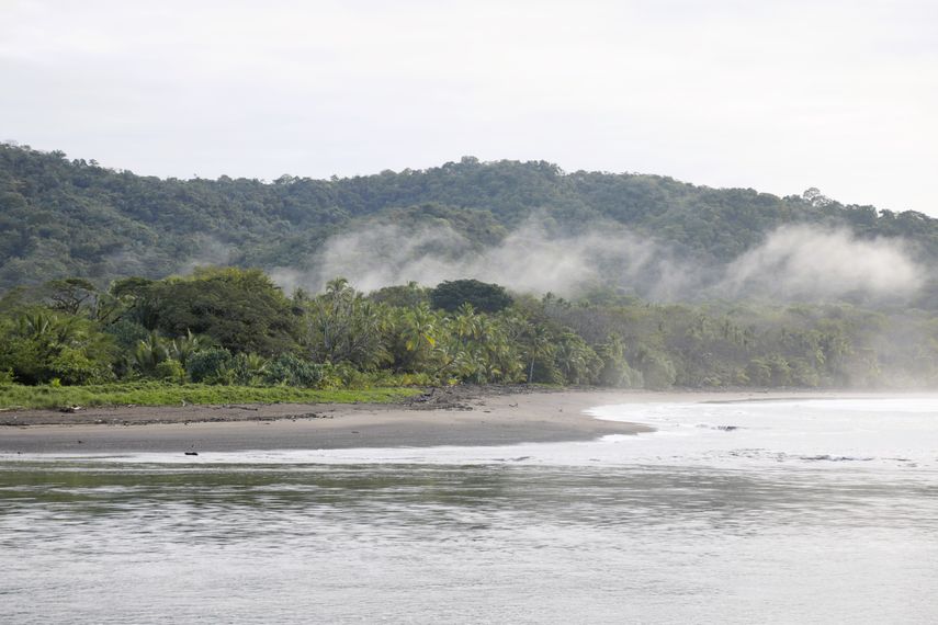 MiAmbiente lanza consulta pública para su nueva Ley de Cambio Climático