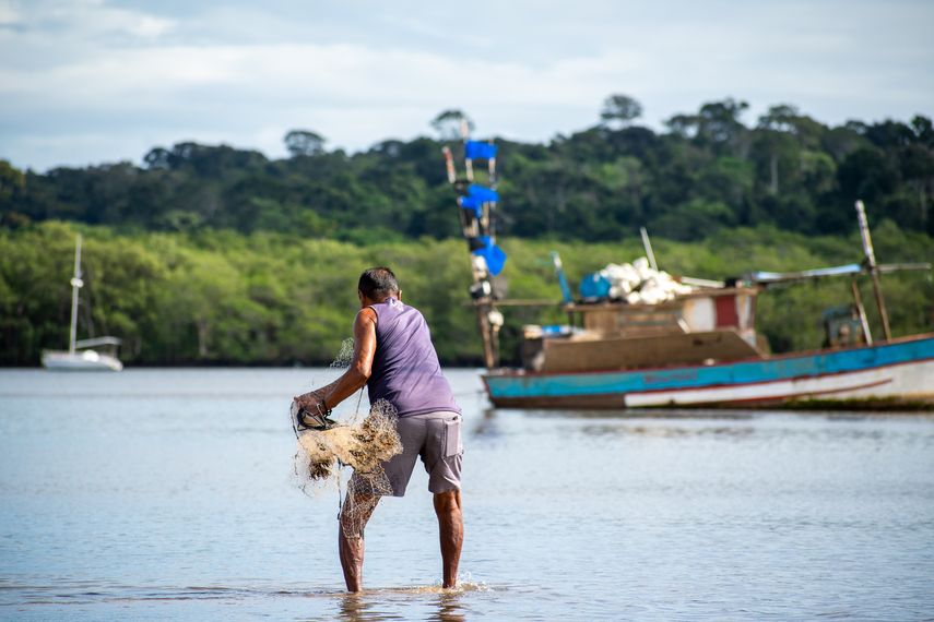 Fenómeno oceánico histórico desaparece en Panamá por primera vez en 40 años Fenómeno oceánico histórico desaparece en Panamá por primera vez en 40 años