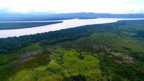 Seis joyas ecológicas que protegen las costas de Panamá a través de sus manglares