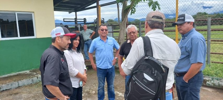 En este momento el laboratorio en Chiriquí tiene la capacidad de producir 400 pajuelas por día y con la impresora automática para pajuelas que se está adquiriendo se aumenta considerablemente esa capacidad.