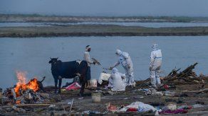 El Ganges deja al descubierto tumbas de muertos por covid-19 en India