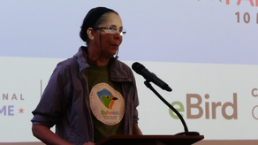 Panamá se consolida como líder mundial de observación de aves en el Global Big Day