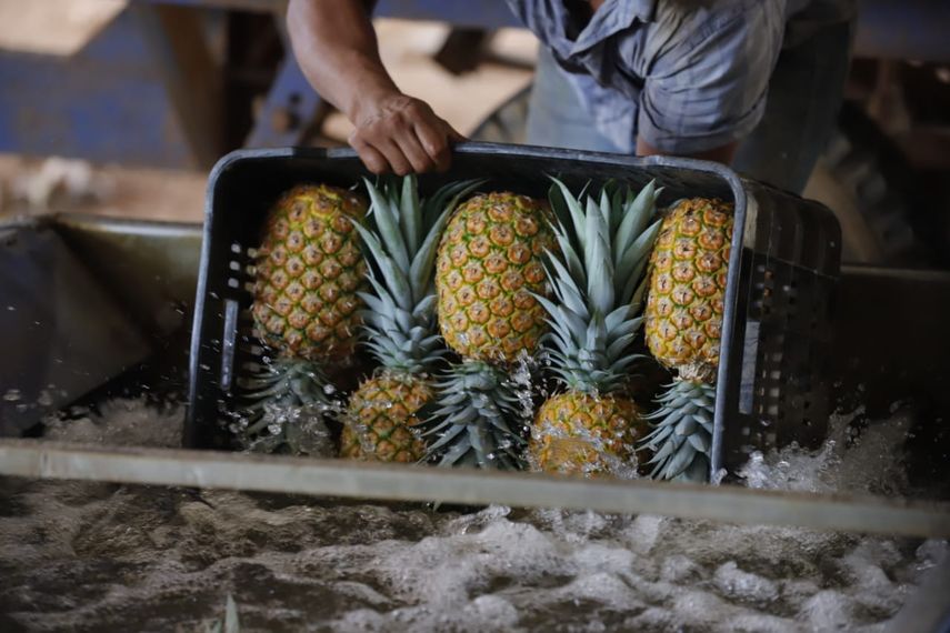 Exportaciones sin cobre crecen en el primer semestre de 2023