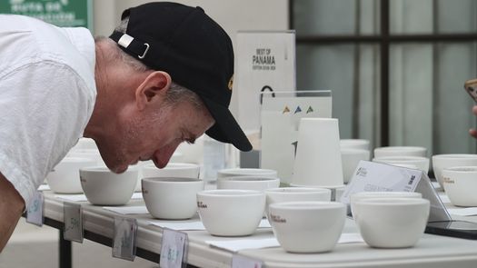 Café Geisha panameño marca otro récord al venderse un kilo por más de 30.000 dólares