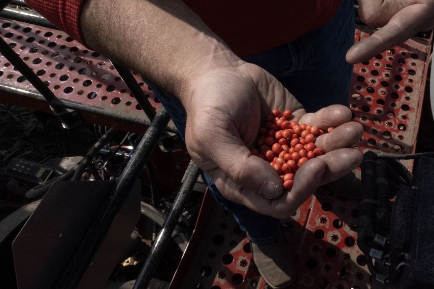 Argentina restablece impuestos a exportaciones agrícolas; mantiene exención a la carne