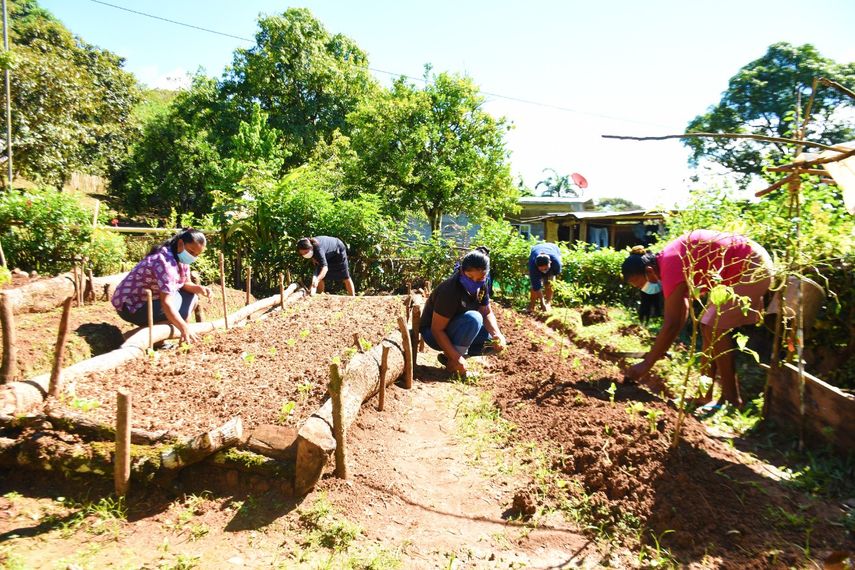 Seg&uacute;n la Cepal, el incremento de la pobreza en 2021 afectar&aacute; sobre todo a Brasil y Costa Rica por los recortes de las ayudas estatales.