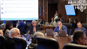 Gabinete modifica arancel para corregir anomalías en importación de carne de cerdo