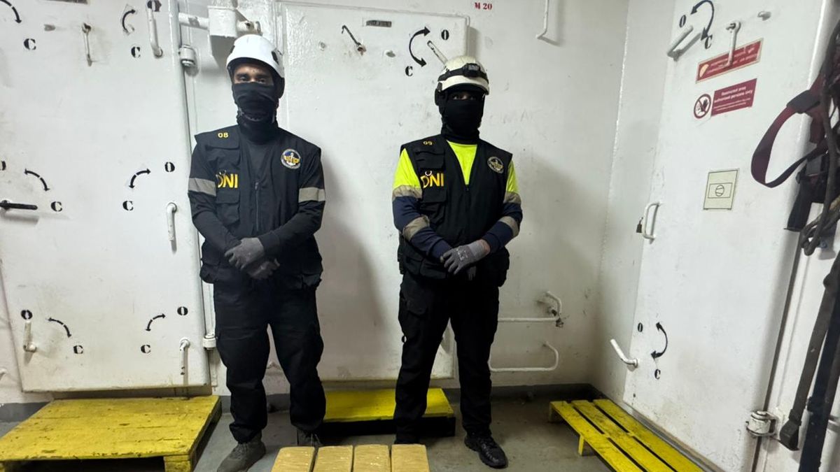 Allanamiento fue realizado entre el Senan y la Fiscalía de Drogas. Allanamiento fue realizado entre el Senan y la Fiscalía de Drogas.