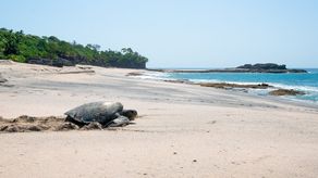 Panamá amplía área protegida con el Refugio de Vida Silvestre Saboga