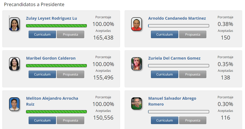 Tribunal Electoral habilita resumen de firmas de apoyo