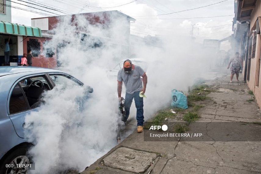 El virus del dengue, transmitido por mosquitos, infecta como mínimo a 98 millones de personas por año.