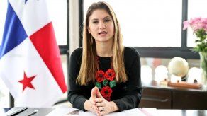 Mouynes participa en Consejo Permanente de la OEA