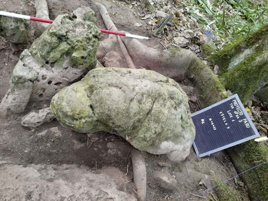 El descubrimiento lo realizaron arqueólogos de Guatemala y Eslovaquia. El descubrimiento lo realizaron arqueólogos de Guatemala y Eslovaquia.