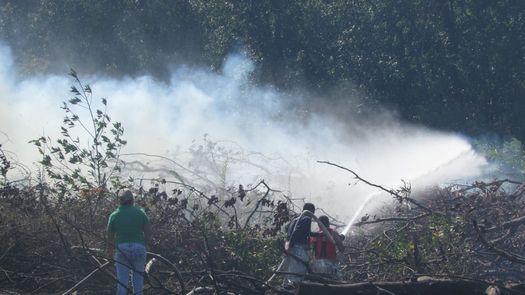 Los bomberos alertan a la ciudadanía debido a que el incremento de incendios de masa vegetal. Los bomberos alertan a la ciudadanía debido a que el incremento de incendios de masa vegetal.