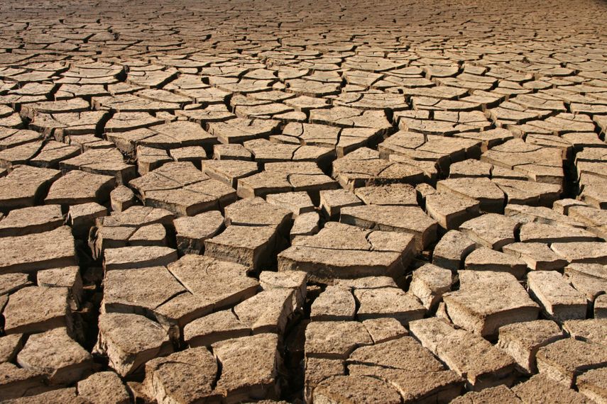 Panamá presentará informe de tierras degradadas ante ONU