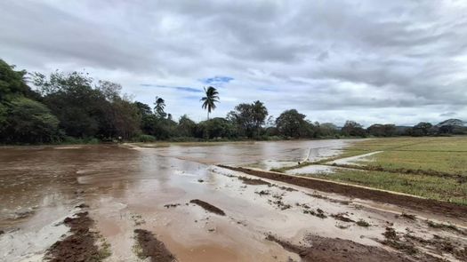 Tras afectaciones por recientes lluvias productores asegurados con el ISA recibirán indemnizaciones Tras afectaciones por recientes lluvias productores asegurados con el ISA recibirán indemnizaciones