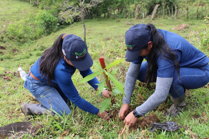 En la provincia de Chiriquí