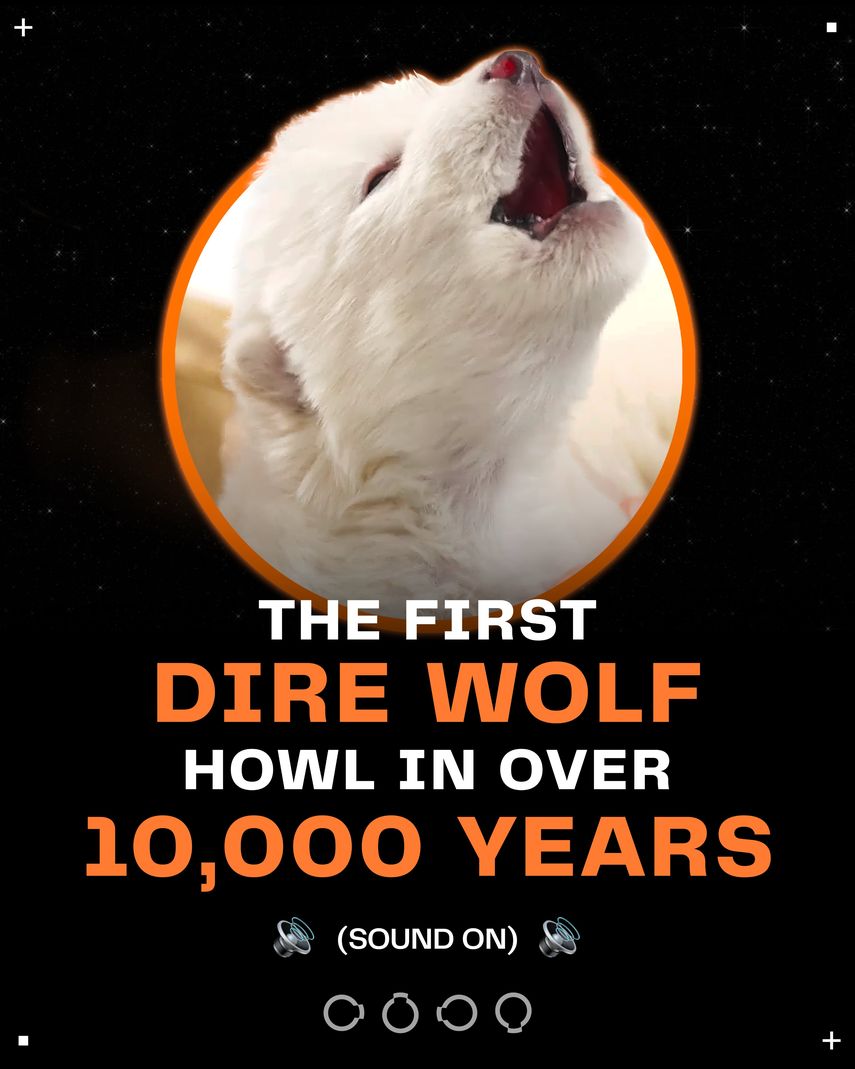 Dan vida al lobo huargo de Casa Stark en serie Juego de Tronos, extinto hace 13.000 años