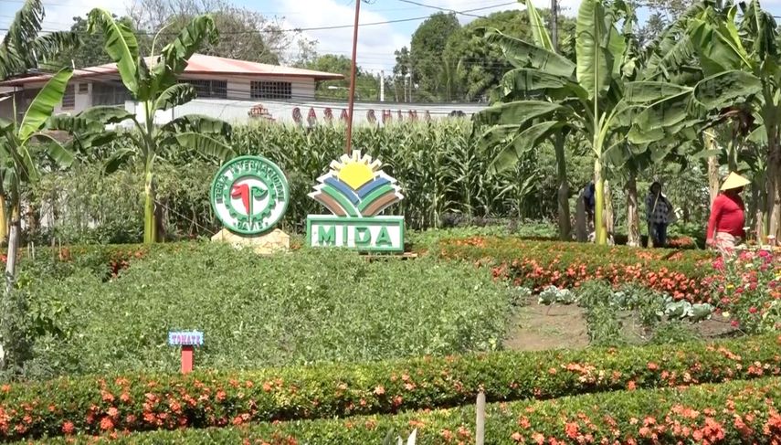 Pabellón Agrícola listo para la Feria Internacional de David