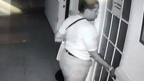 Colegio Nacional de Abogados denuncia hurto agravado
