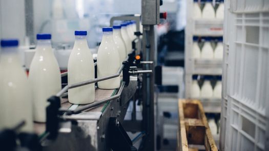 Sector lácteo panameño busca soluciones ante desafíos económicos y de competitividad