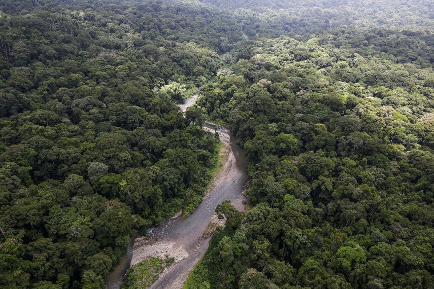 Oro en el Darién: el complejo sistema ilícito del Clan del Golfo que Panamá quiere romper