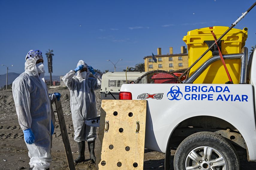 Los CDC de Estados Unidos, consideran que el riesgo para el público en general es bajo. Los CDC de Estados Unidos, consideran que el riesgo para el público en general es bajo. 