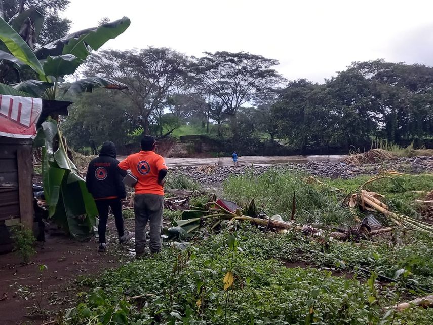 En algunas zonas de David