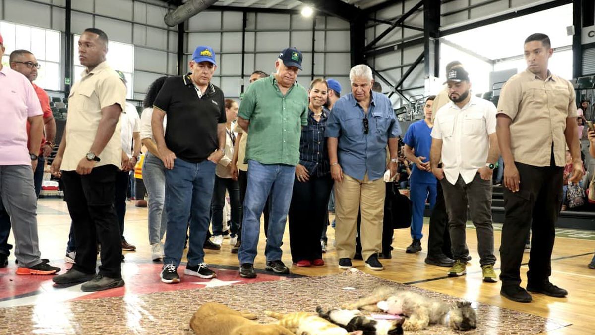 Parte de una infraestructura abandonada del Ministerio de Desarrollo Agropecuario (MIDA) está siendo recuperada para la creación de una nueva clínica de mascotas en la provincia de Chiriquí, informó el ministro Roberto Linares durante una jornada de servicio interinstitucional desarrollada en esta región del país. Parte de una infraestructura abandonada del Ministerio de Desarrollo Agropecuario (MIDA) está siendo recuperada para la creación de una nueva clínica de mascotas en la provincia de Chiriquí, informó el ministro Roberto Linares durante una jornada de servicio interinstitucional desarrollada en esta región del país.