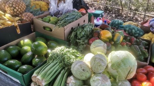 Conoce el calendario de Agroferias para este viernes 19 y sábado 20 de abril