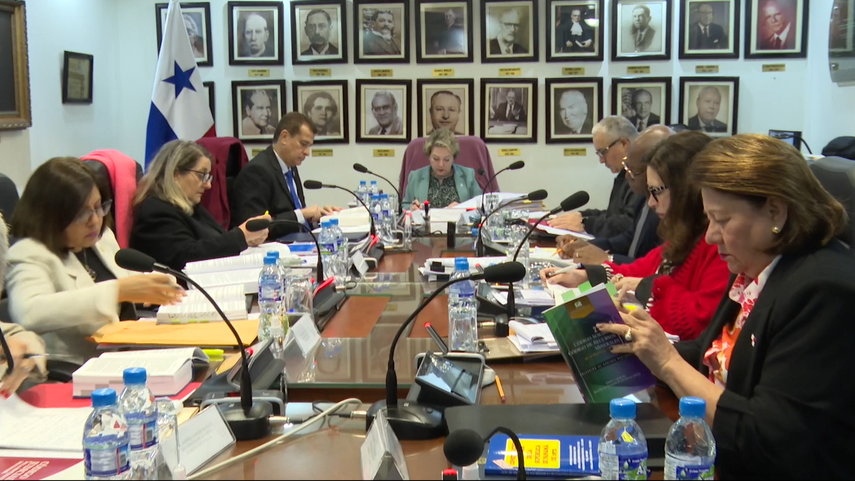 Contrato minero: origen de la inconstitucionalidad