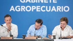 Reglamentan ley para importación de carne bovina