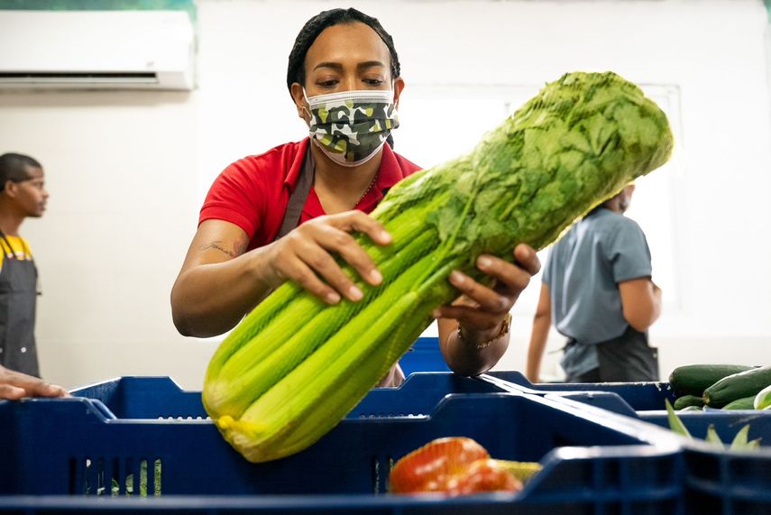 El Ministerio de Educación de Panamá (Meduca) inició la entrega y descarga de alimentos correspondientes al programa Almuerzo Escolar Saludable