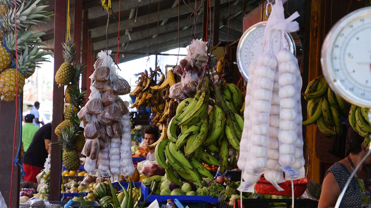 Costo de la canasta básica aumenta en Panamá