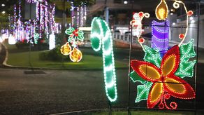 Este domingo será el encendido del alumbrado de Navidad en Panamá