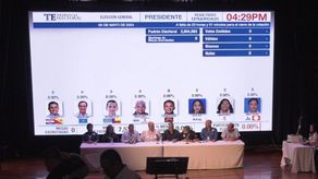 Tribunal Electoral pone en cero el sistema TER.