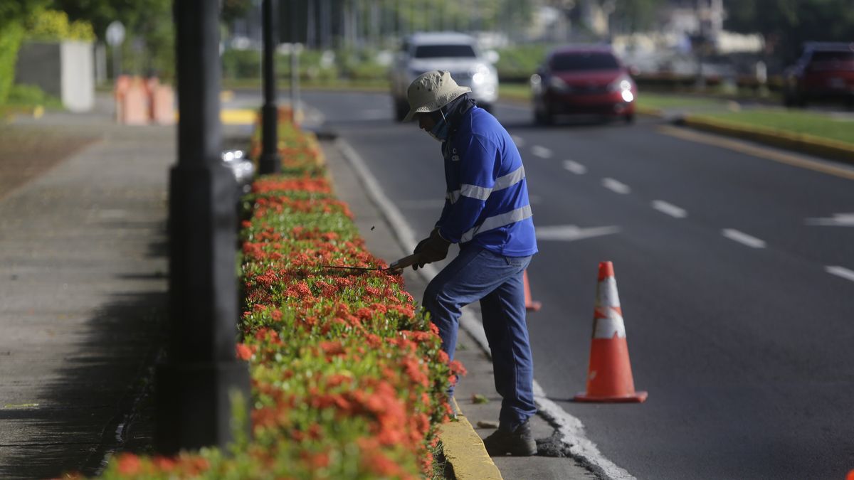 El consultor empresarial René Quevedo analizó en ECO News – Lo Último la instalación de la mesa de salario mínimo y el impacto que esta discusión tendrá en un mercado laboral golpeado por la pérdida de empleos, la informalidad y la caída del consumo. Quevedo recordó que el debate sobre salario mínimo en Panamá sigue un patrón predecible. El consultor empresarial René Quevedo analizó en ECO News – Lo Último la instalación de la mesa de salario mínimo y el impacto que esta discusión tendrá en un mercado laboral golpeado por la pérdida de empleos, la informalidad y la caída del consumo. Quevedo recordó que el debate sobre salario mínimo en Panamá sigue un patrón predecible.