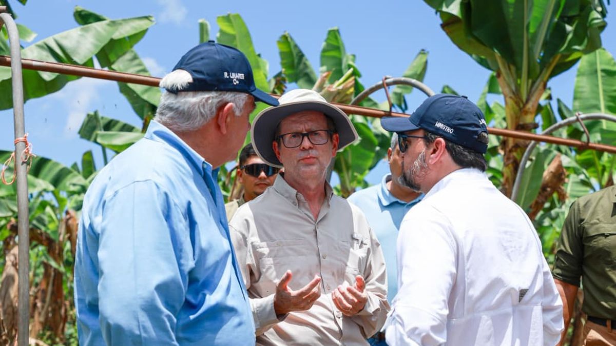 Plan bananero en Bocas del Toro generará 5,000 empleos directos, anuncia MICI