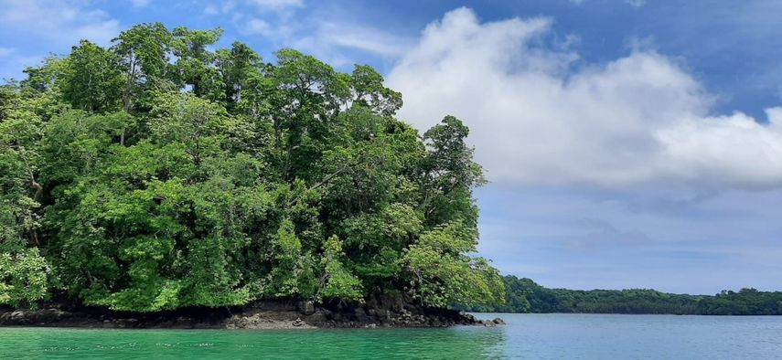 Golfo de Chiriquí es visitado por turistas de cruceros