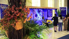 ¿Qué desean los turistas?